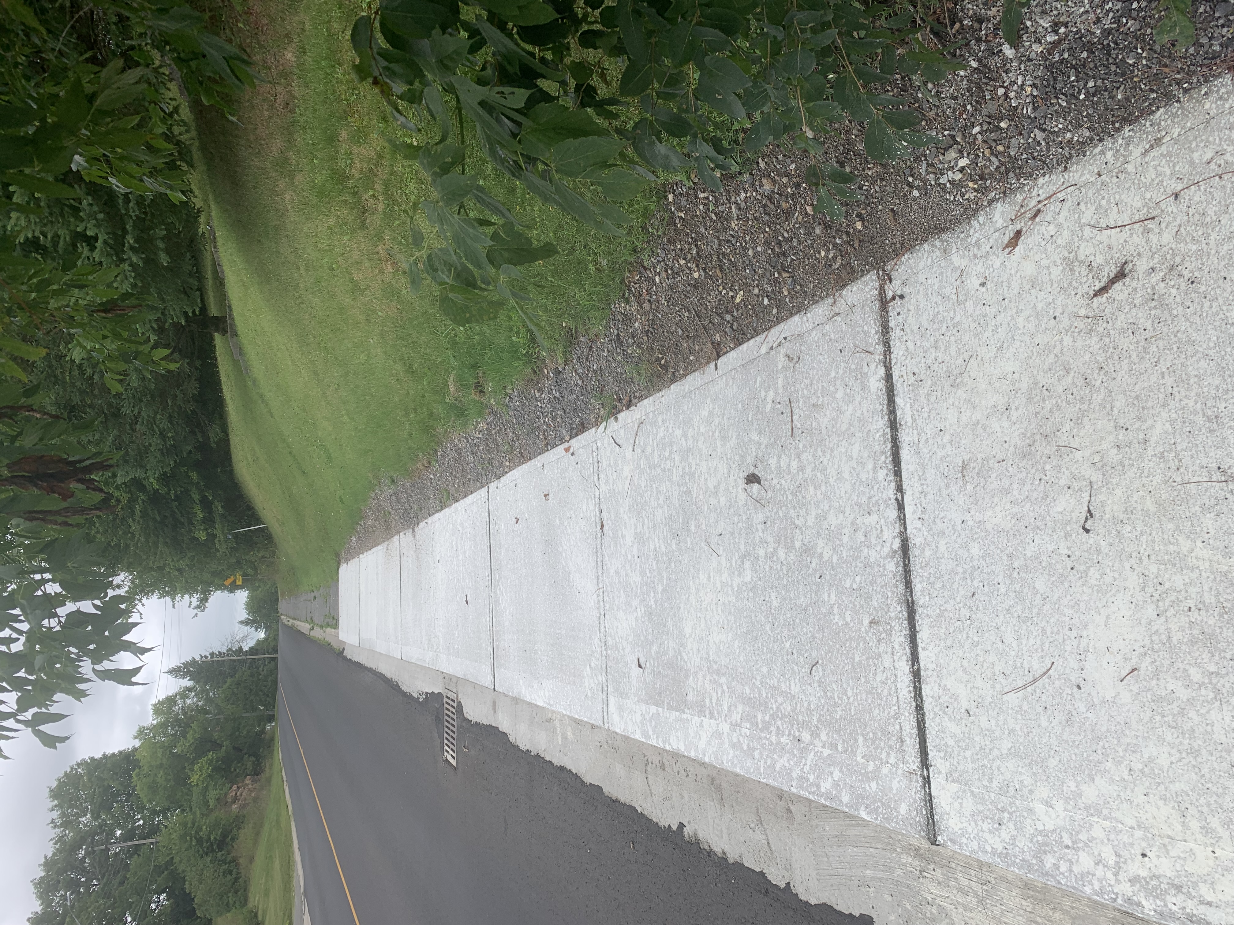 A sidewalk in Lanark Highlands.