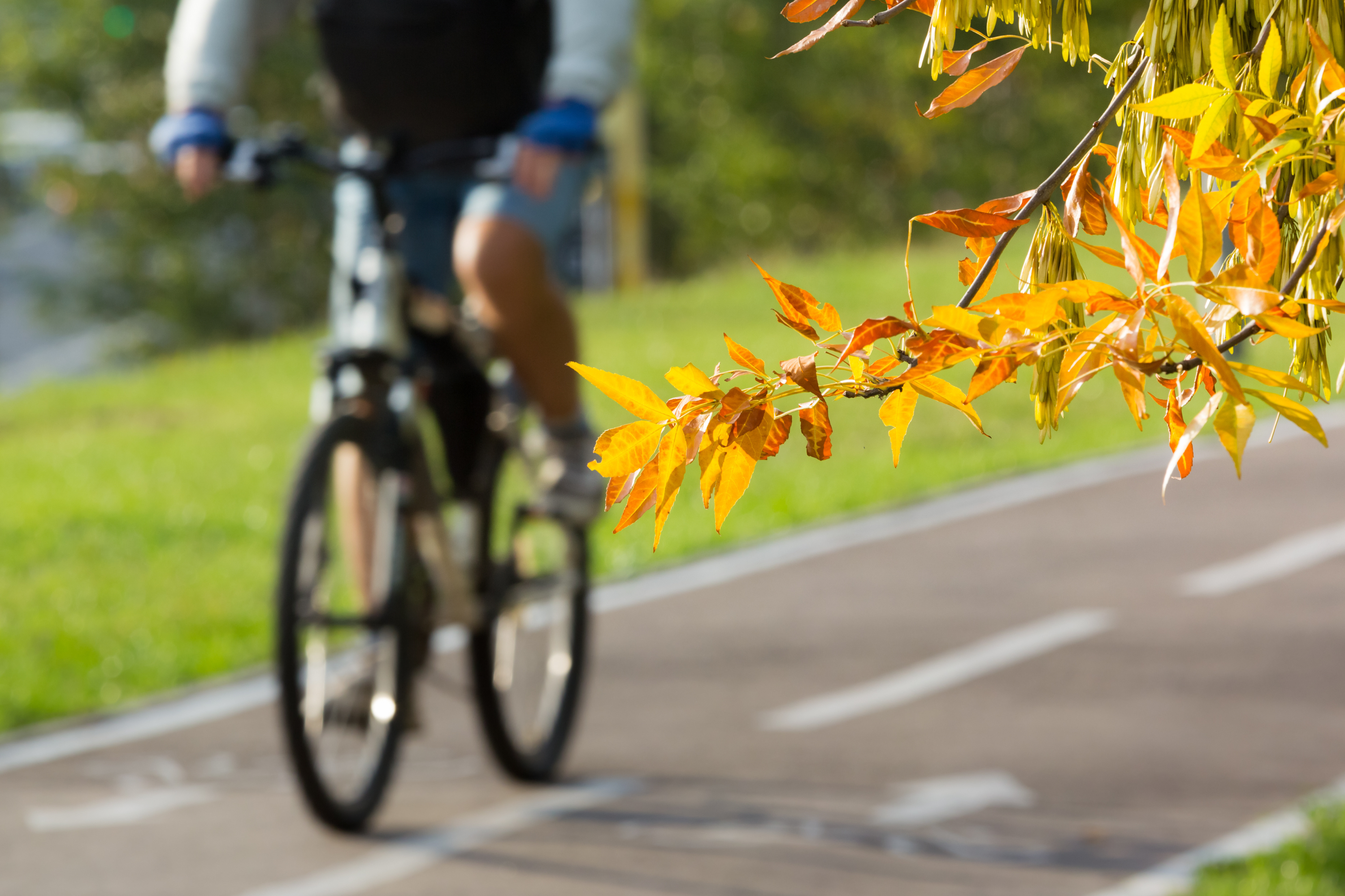 A person riding a bicycle down a bike path. 