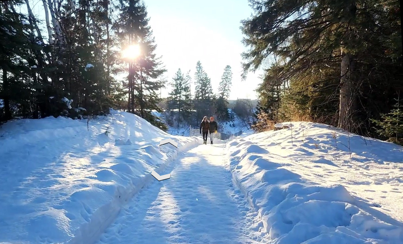 A snow-covered trail on a sunny day. 