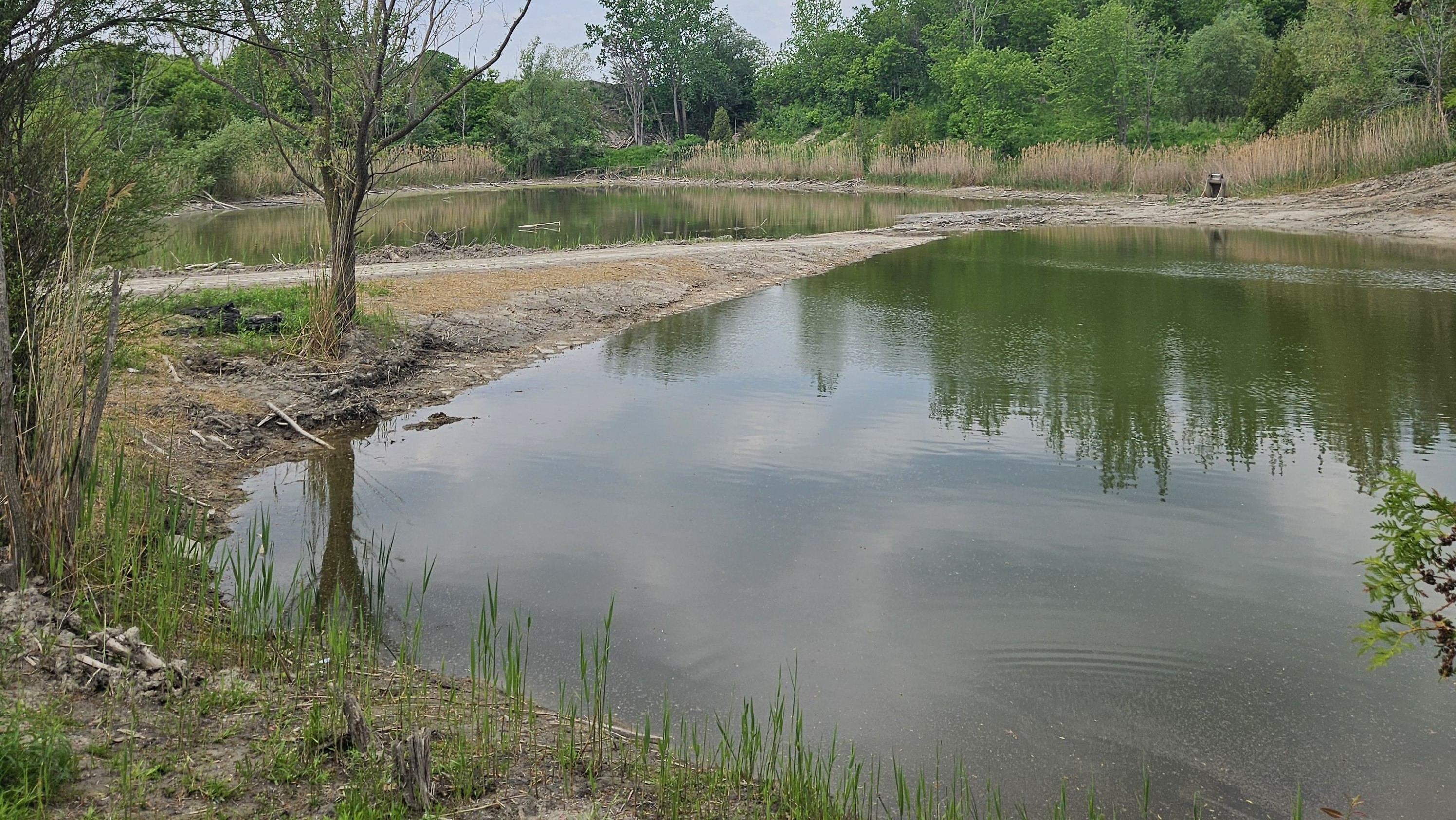 The manmade pond and the surrounding area