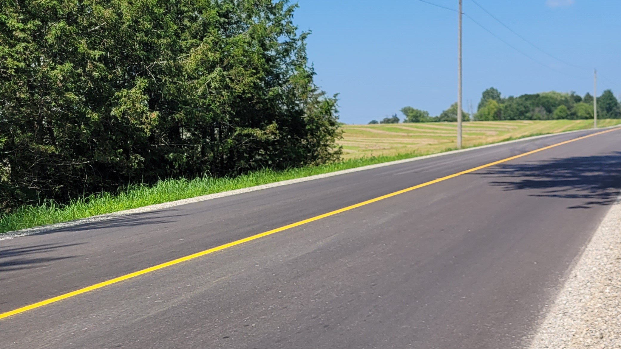 The repaved road, with trees on either side