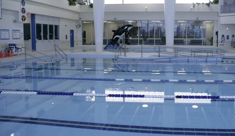 Image of an empty pool