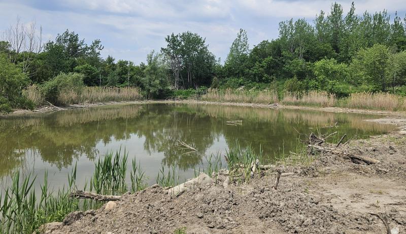 A manmade pond and the surrounding shore.