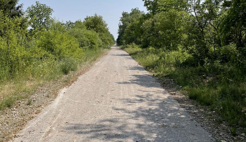 A newly built trail in the Municipality of Chatham-Kent. 